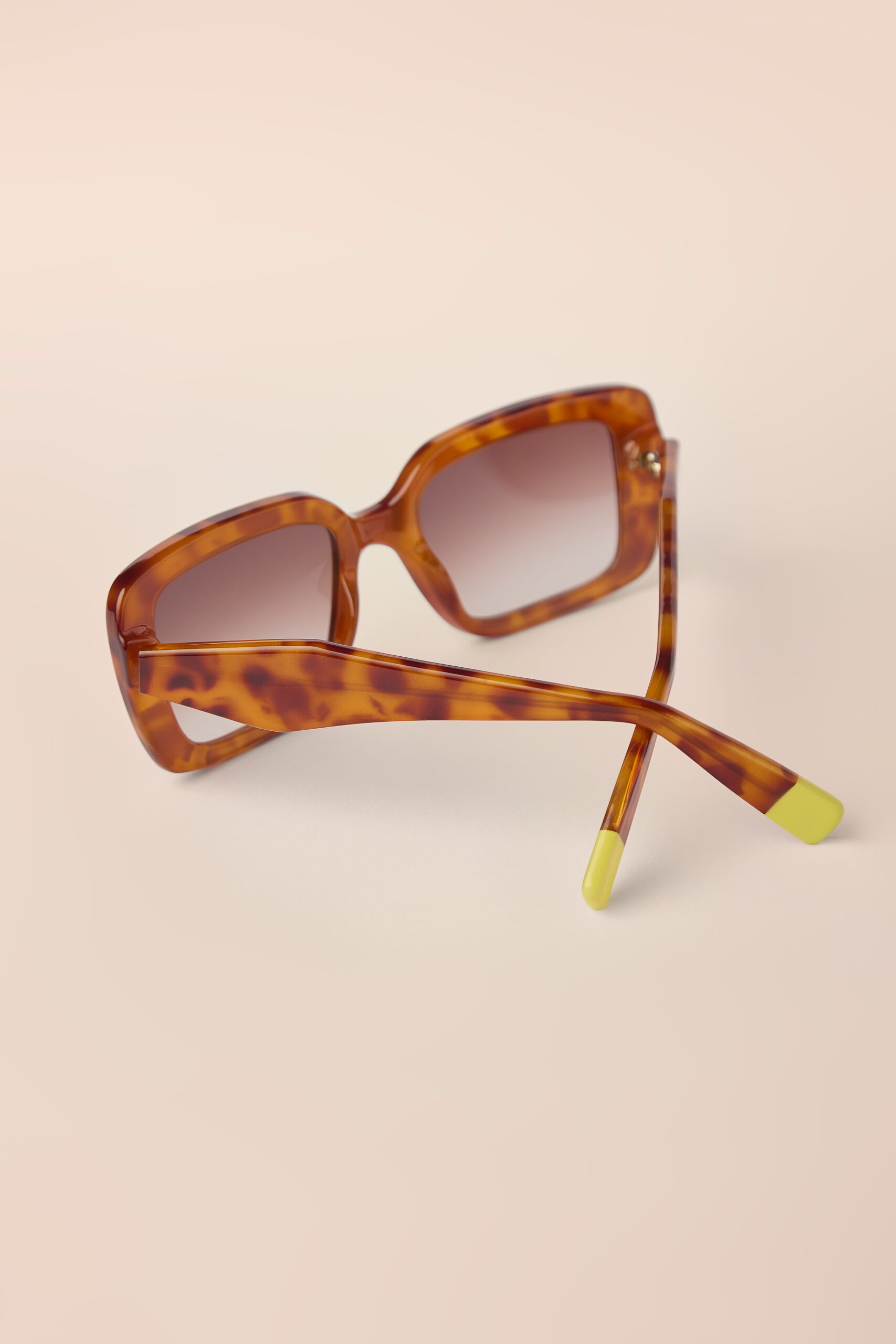 Joana Tartaruga/ Collab AERREE - Imagem 3