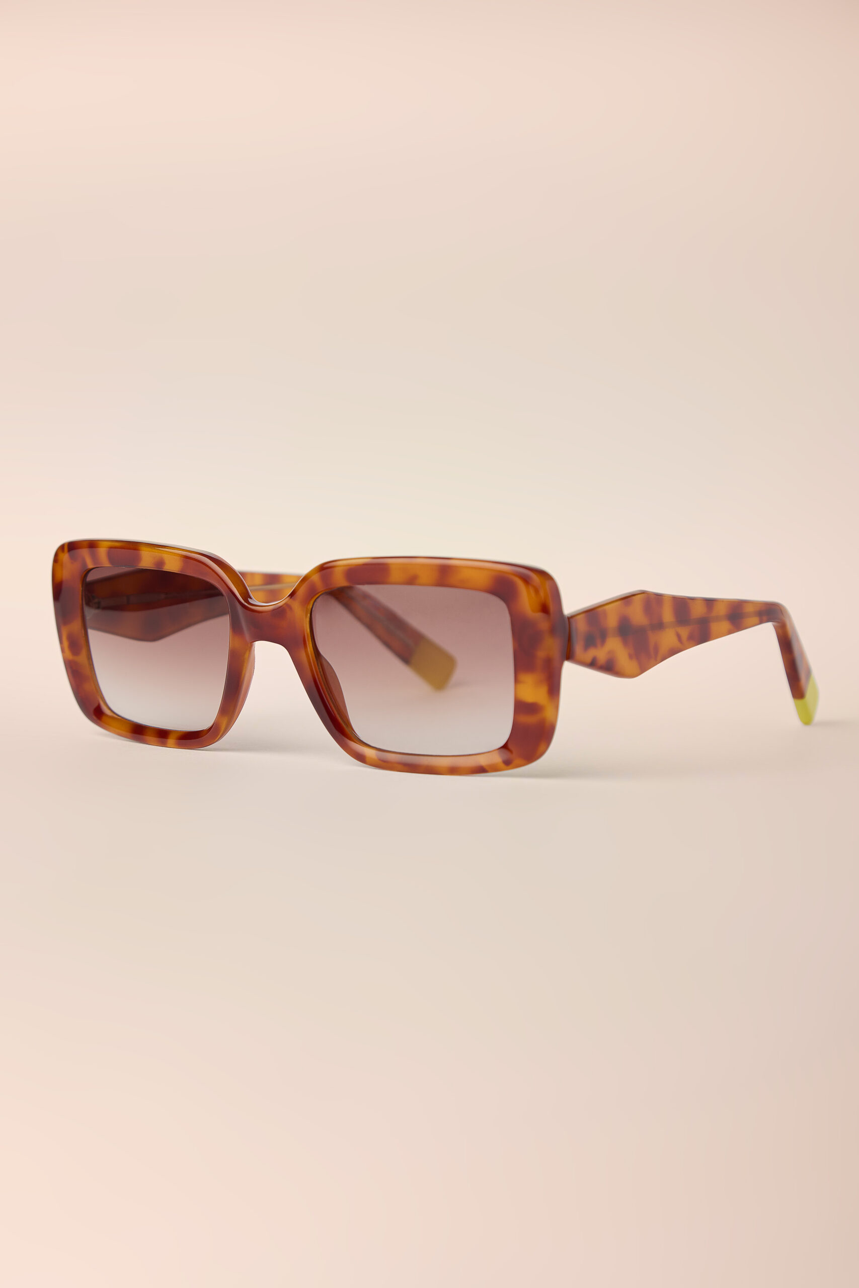 Joana Tartaruga/ Collab AERREE - Imagem 2