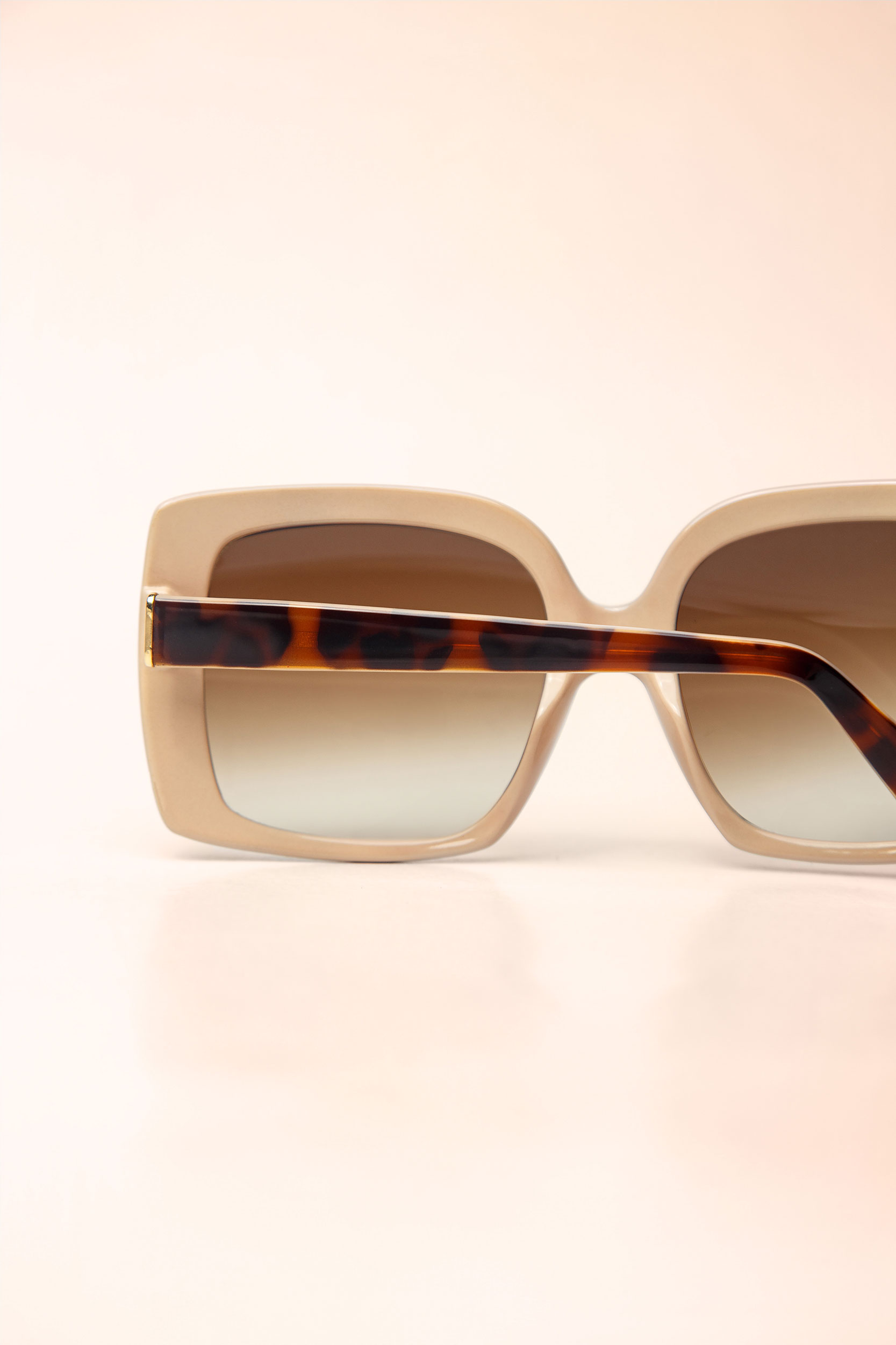 Rita Tartaruga - Imagem 3