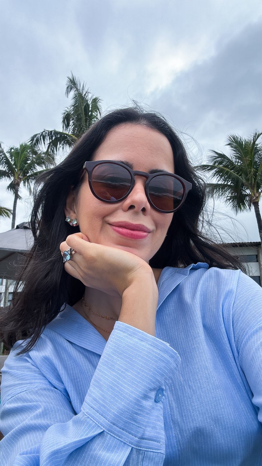 Catarina marrom - Imagem 2