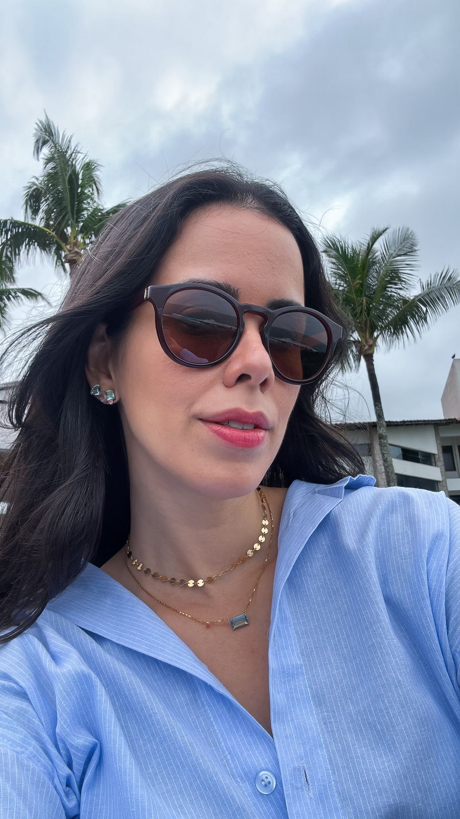 Catarina marrom - Imagem 3